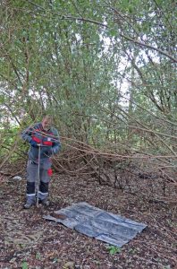 Archeologienota Pastoriestraat