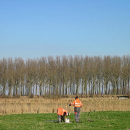 Steentijd onder de polderklei