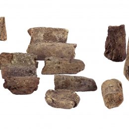 Briquetage op Brugge in 100 objecten