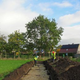 Wijnendalestraat, Torhout