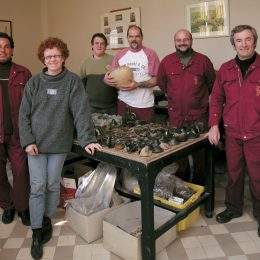 Bieke Hillewaert keert terug naar haar roots
