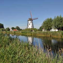 Week van de Zwinstreek