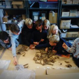 Ontdekkingsreizigers op zolder