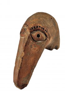 Een vreemde vogel op het dak