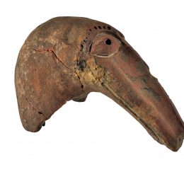 Een vreemde vogel op het dak