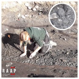 Stadskernvernieuwing Torhout: update