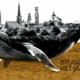 Filmpje: Vragen aan de stadsarcheoloog I