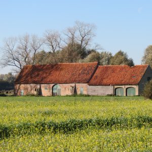 Hoeve in Damme