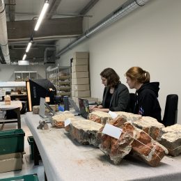 Verhalen uit de Ondergrond VIII - Gekamd, gekleurd en geblazen: middeleeuwse vondsten ontrafeld door jonge onderzoekers