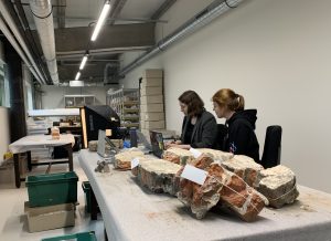 Verhalen uit de Ondergrond VIII – Gekamd, gekleurd en geblazen: middeleeuwse vondsten ontrafeld door jonge onderzoekers