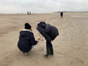 Zoek mee naar het verdronken land op het strand!